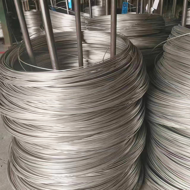 310/310S Stainless Steel Wire